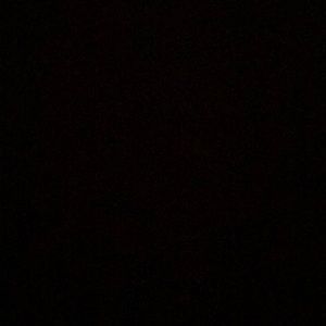 Meet your Posher, Jackson